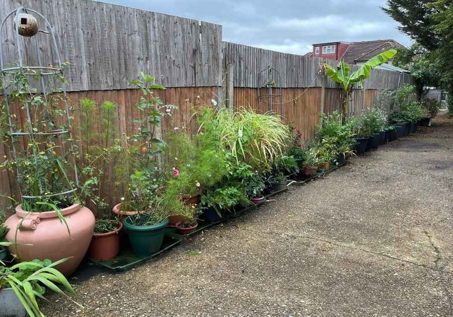 community alley way garden