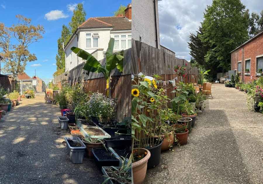 community garden- litter picking