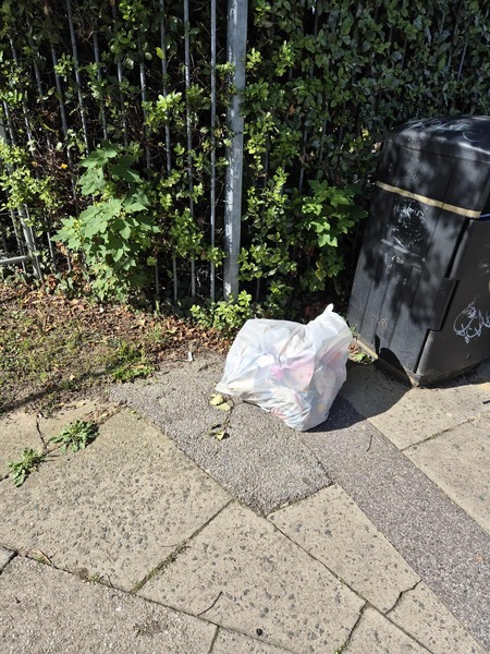 Image 17945